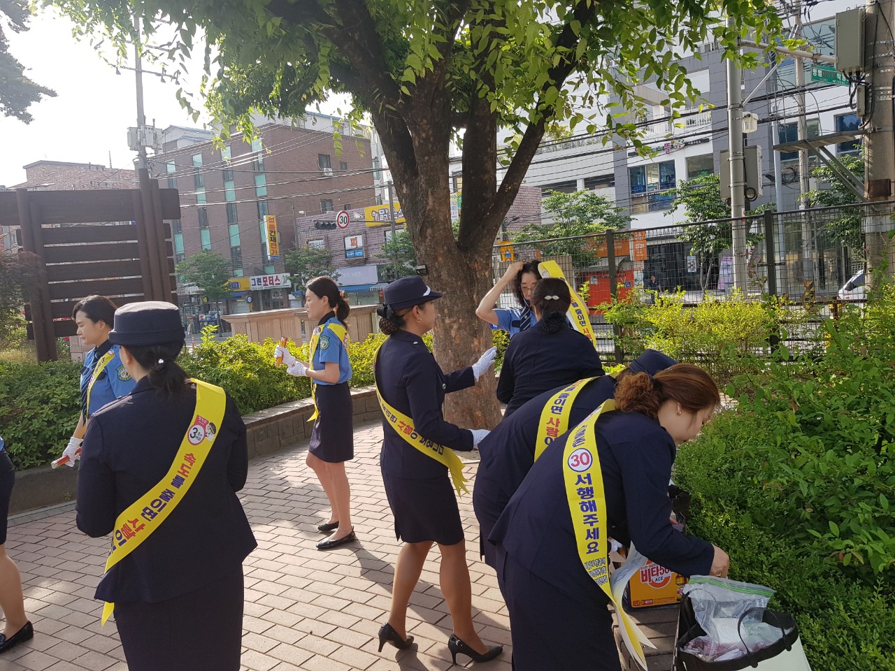 사진