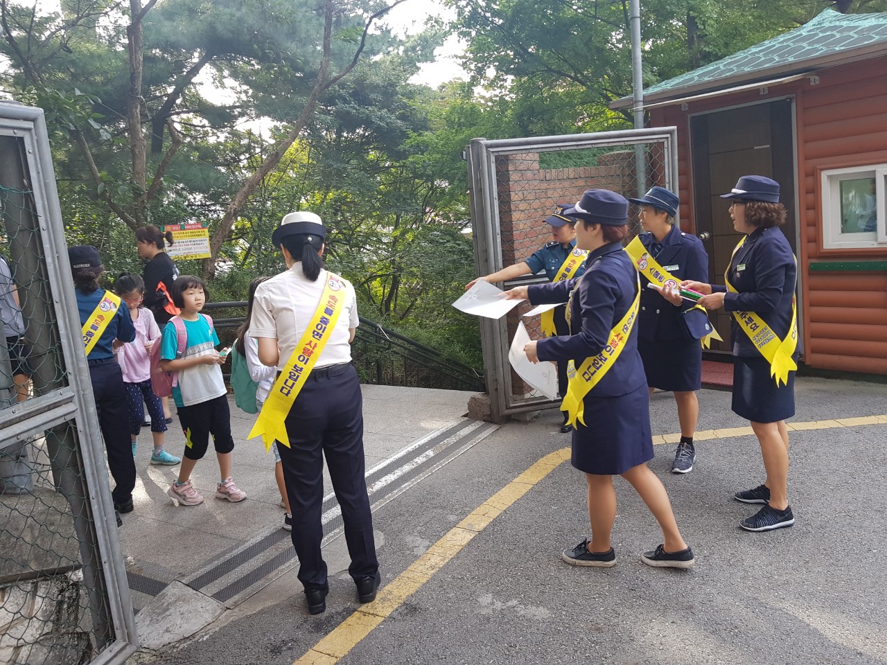 사진