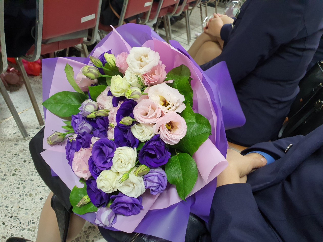 사진