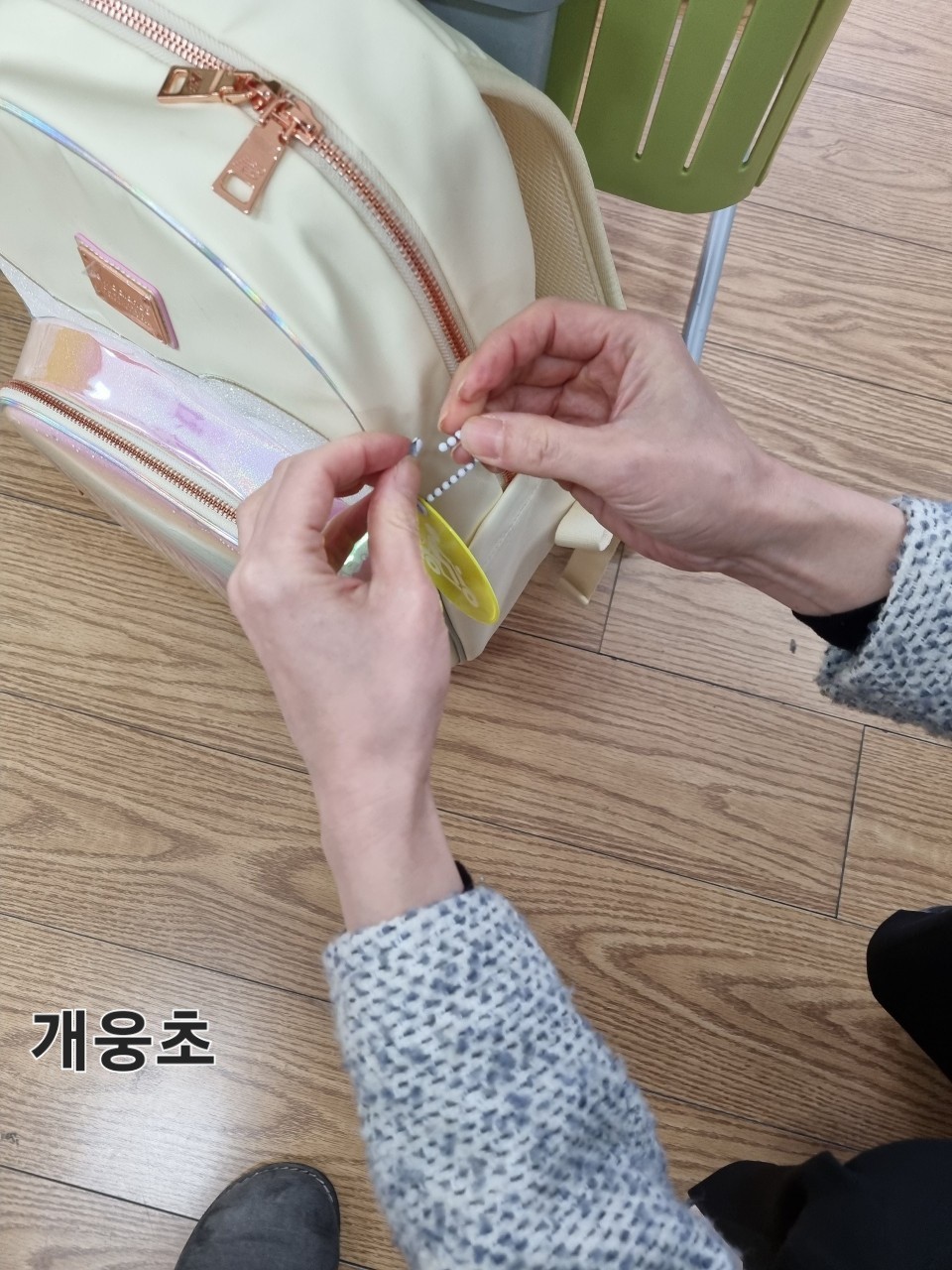 사진